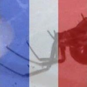 Meet your Posher, Ronda